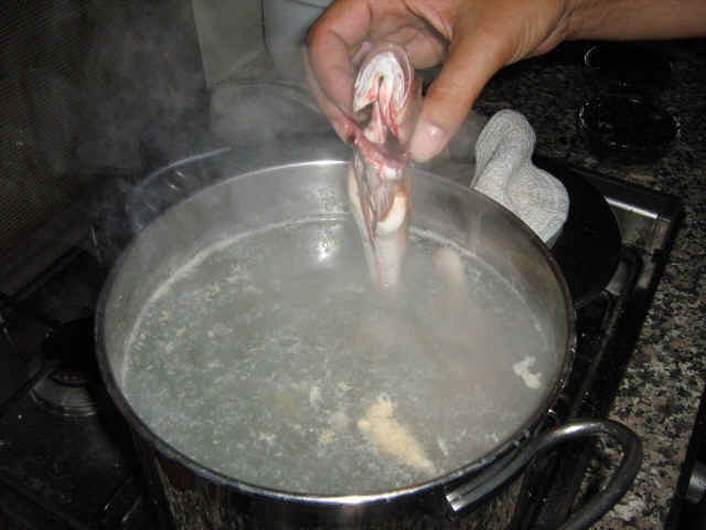 cocina de caldo de pescado
