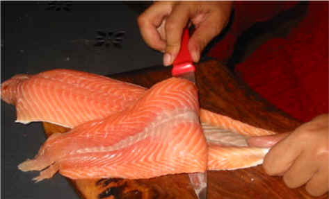 salmón 